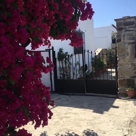 Apartamento Las Adelfas 塔里法 外观 照片