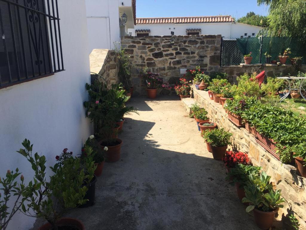 Apartamento Las Adelfas 塔里法 外观 照片